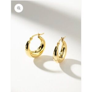 Uncommon James Rare Hoop Earrings- NWT